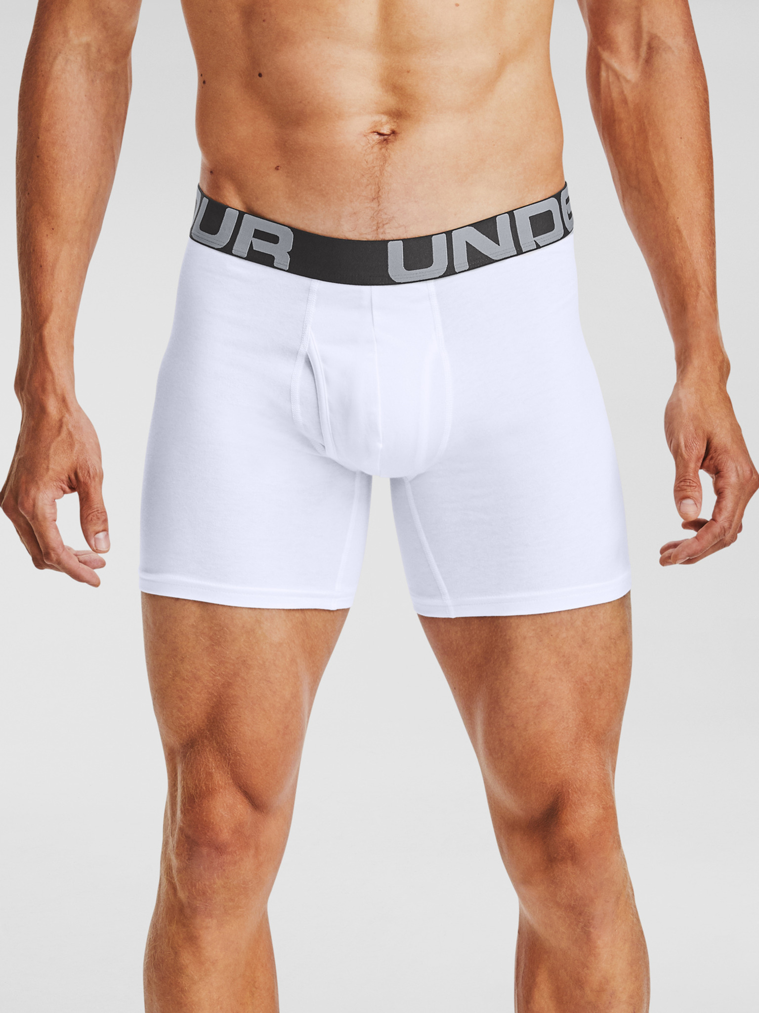 UA Charged Cotton 6in Novelty 3 Pack